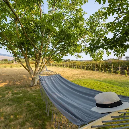 Agapanthus Retreat וילה