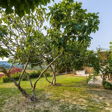 וילה Agapanthus Retreat Kouvalata