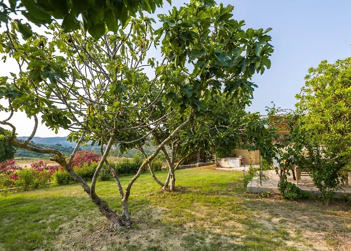 فيلة Agapanthus Retreat Kouvalata